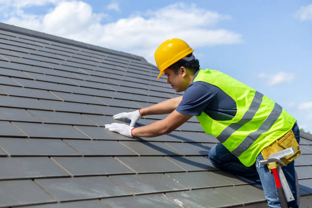 Best Roof Maintenance Services  in Gibbon, NE