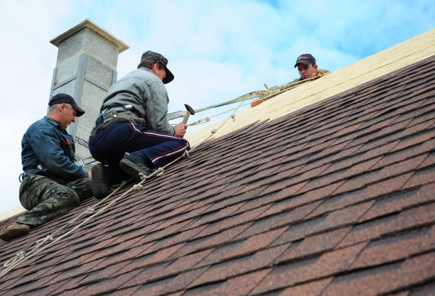 Roof Gutter Cleaning in Gibbon, NE